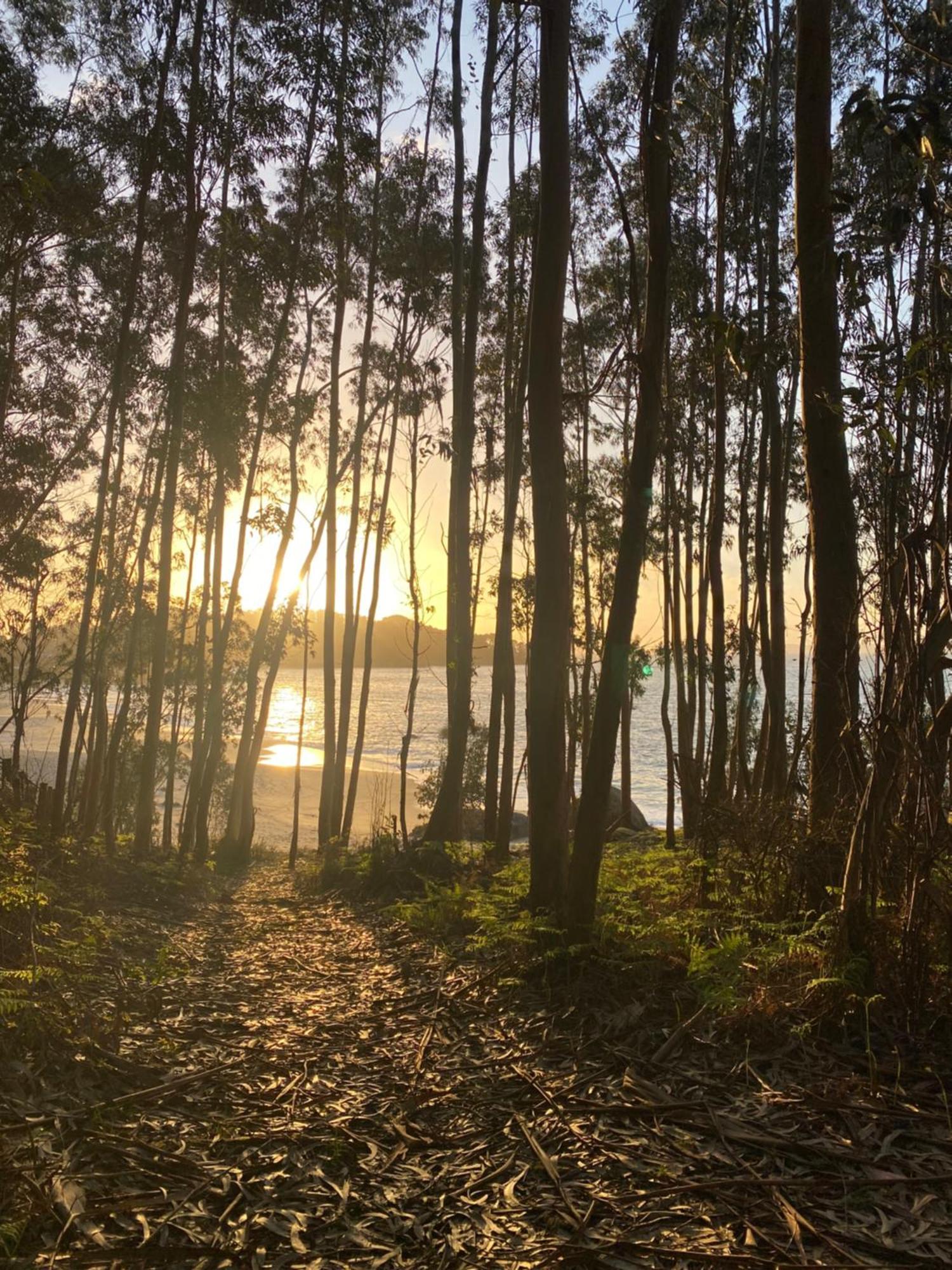 Rincon De Lagos, Bueu Pontevedra Luaran gambar